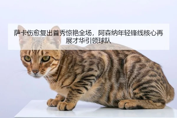 萨卡伤愈复出首秀惊艳全场，阿森纳年轻锋线核心再展才华引领球队