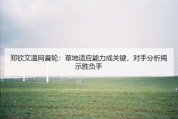 zheng-qin-wen-wen-wang-shou-lun-cao-di-shi-ying-neng-li-cheng-guan-jian-dui-shou-fen-xi-jie-shi-sheng-fu-shou-2-732.jpg