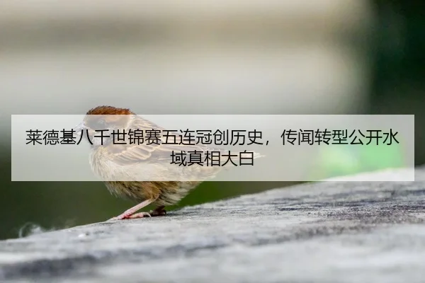 莱德基八千世锦赛五连冠创历史，传闻转型公开水域真相大白